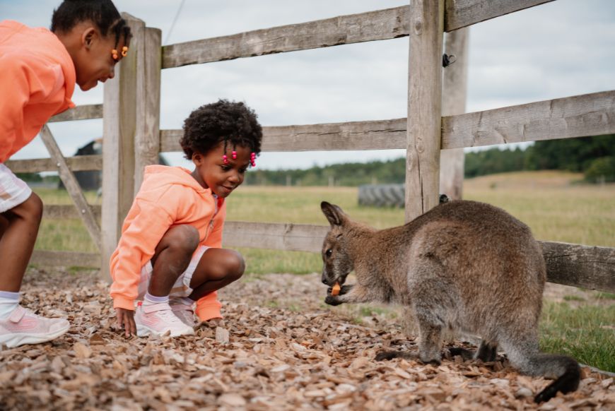 2 children wearing orange with a wallabie 